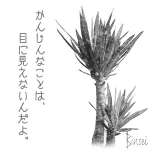かんじんなことは、目に見えないんだよ。