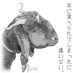 羊に食べられてしまったに違いない。